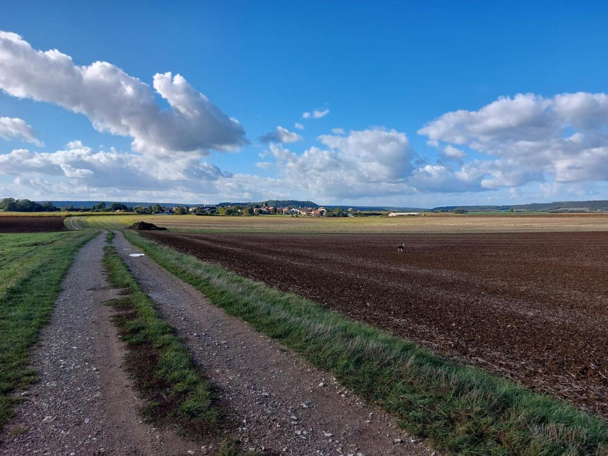 فندق لو مادجو Montliot-et-Courcelles المظهر الخارجي الصورة